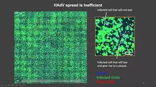 AILS Talk: using AI to detect virus infections