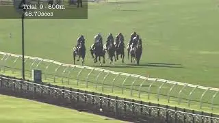 Flemington Jumpouts | 15 August 2014 | Heat 9