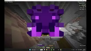 Can I beat Controller Hardcore?