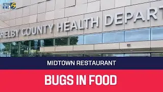 Insect larvae found in dish at popular Midtown restaurant
