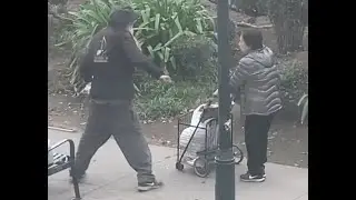 Crazy NPC Attacks Pedestrians | Oblivion NPC