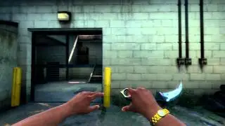 Karambit Case Hardened FT | Blue Gem | Showcase