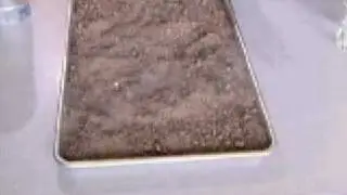 LNG Properties Video