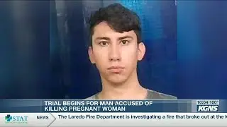 Man accused of killing pregnant girlfriend in court