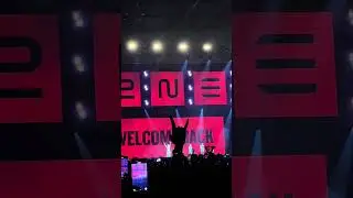 2NE1 in Vietnam
