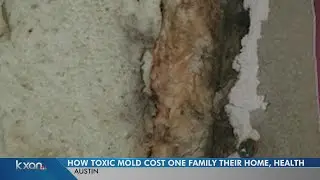 How toxic mold cost one Austin family their home, health