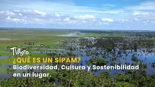 &iquest;Qu&eacute; es un SIPAM? Biodiversidad, Cultura y Sostenibilidad en un lugar -TvAgro por Juan Gonzalo Angel