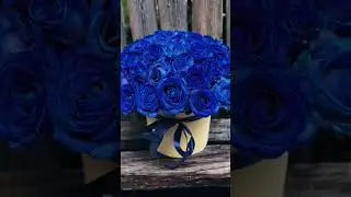 51 синяя роза в шляпной коробке #blue #bluerose #rose #roses #flowers #цветы #топ