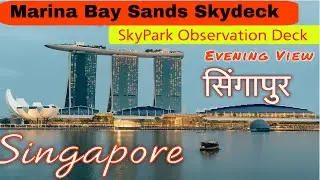 Singapore Marina Bay Sands Skydeck | Observation Deck | Night View Of Singapore