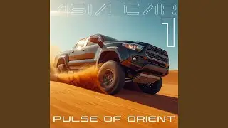 Through the Desert