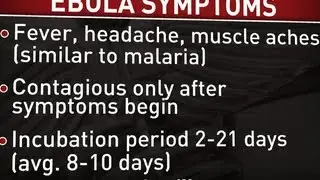 Could Ebola outbreak spread to U.S.?