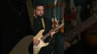 BIRDS OF A FEATHER #billieeilish #birdsofafeather #fenderstratocaster #fender #guitarsolo #guitar