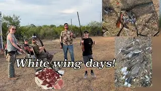 Dove Hunting Outside Beeville, TX | Special White Wing Days & Family Fun