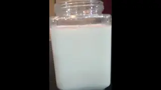 Making and Using  LAB (Lacto Bacillus Bacteria ) Serum 3/3 - Joyful Gardening at Home