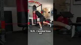 SLDL combine w/ terminal knee extension