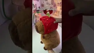 Cute Capybara Stuffed Animal Perfect for Gifts! #capybara #toys