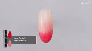 NEONAIL Ombr&eacute;-Look f&uuml;r Anf&auml;nger