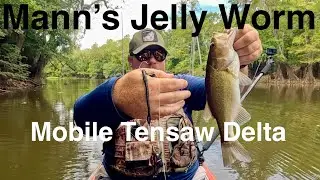 Catching Bass On A Mann's Jelly Worm And Topwater In The Upper Mobile Tensaw Delta AL