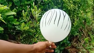 Inflating Balloon And Learn About White Color Video At Farm, BongNha Official