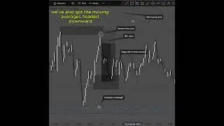 Free trading resources in my bio.