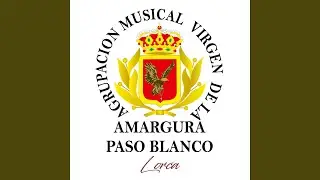 Virgen del Pilar (feat. paso blanco)