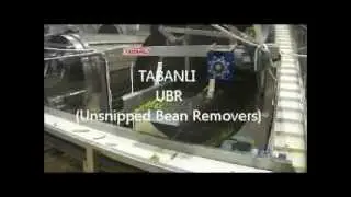 TABANLI Green Bean Processing Line.wmv