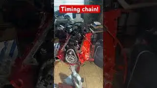 Timing chain on SBC #chevy #engineblock #chevyengine #mechanic #smallblockchevy #mechaniclife