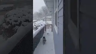 Michigan snowstorm