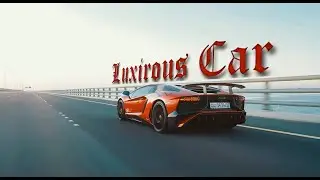Cars Sport || InsMus 86 || No Copyright Music