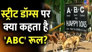 स्ट्रीट डॉग्स पर क्या कहता है ABC Rule 2023? | Street Dogs Case In Supreme Court | #tv9d