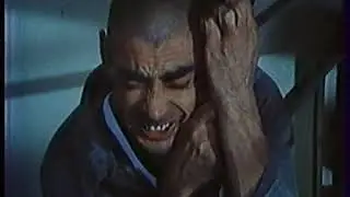 A madarak szeme / Les yeux des oiseaux - r&eacute;szlet (1983, r: Gabriel Auer)