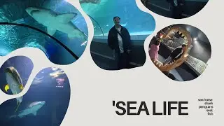 🐠 Family Vlog at SEA LIFE | Sharks, Penguins, Seals & More! 🦈🐧
