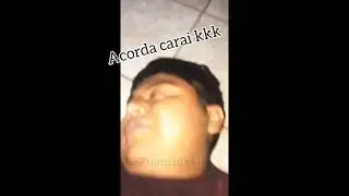 shitposter raiz