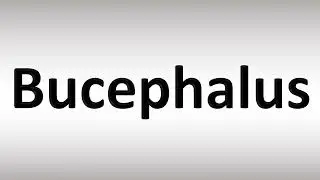 How to Pronounce Bucephalus