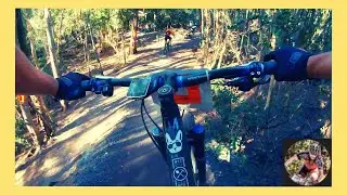 Markham Park Bad Habit 2019 - Full Video - Endurance Mountain Bike Race - South Florida