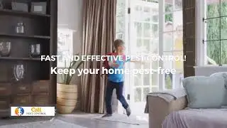 All Natural Pest Control: Best DIY Remedies for Monsoon Pests