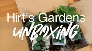 Hirt's Gardens Unboxing