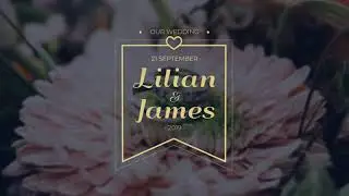 12 Romantic Wedding Labels Premiere Pro Templates