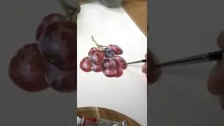 Now on Skillshare #watercolor #painting #art #botanical #grape #artist