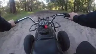 Honda quads are just about indestructible