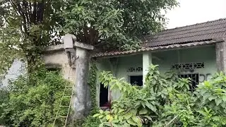 Panic: Venomous snake suddenly attacks volunteer group while cleaning house to help single mother