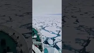 Rough Arctic Ocean waves #waves #ocean #ice
