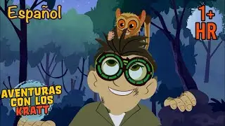 Gur&uacute;s de Ojos Saltones | Datos de Criaturas | Aventuras con los Kratt