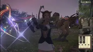 FFXIV Bard Performance test