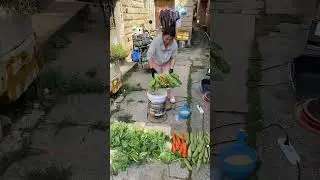 Rural people work so hard #Vegetable shredder #Three rural issues #ruralwaste #farmwaste su id