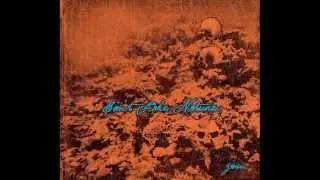 Can't Fake Nature - Ricordea Plains