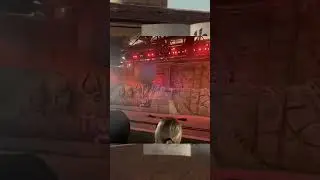 Disney Employee Crushed By Boulder In Indiana Jones Stunt Show Malfunction#accident#disney#themepark