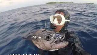 Spearfishing Edition 2017 - French Polynesia / Tahiti