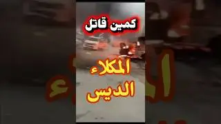 حيلهم بينهم | الانتقالي ودرع الوطن | الديس ـ المكلاء | #اليمن #السعودية #حضرموت