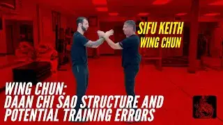 Daan Chi Sao Structure and Potential Training Errors - Wing Chun